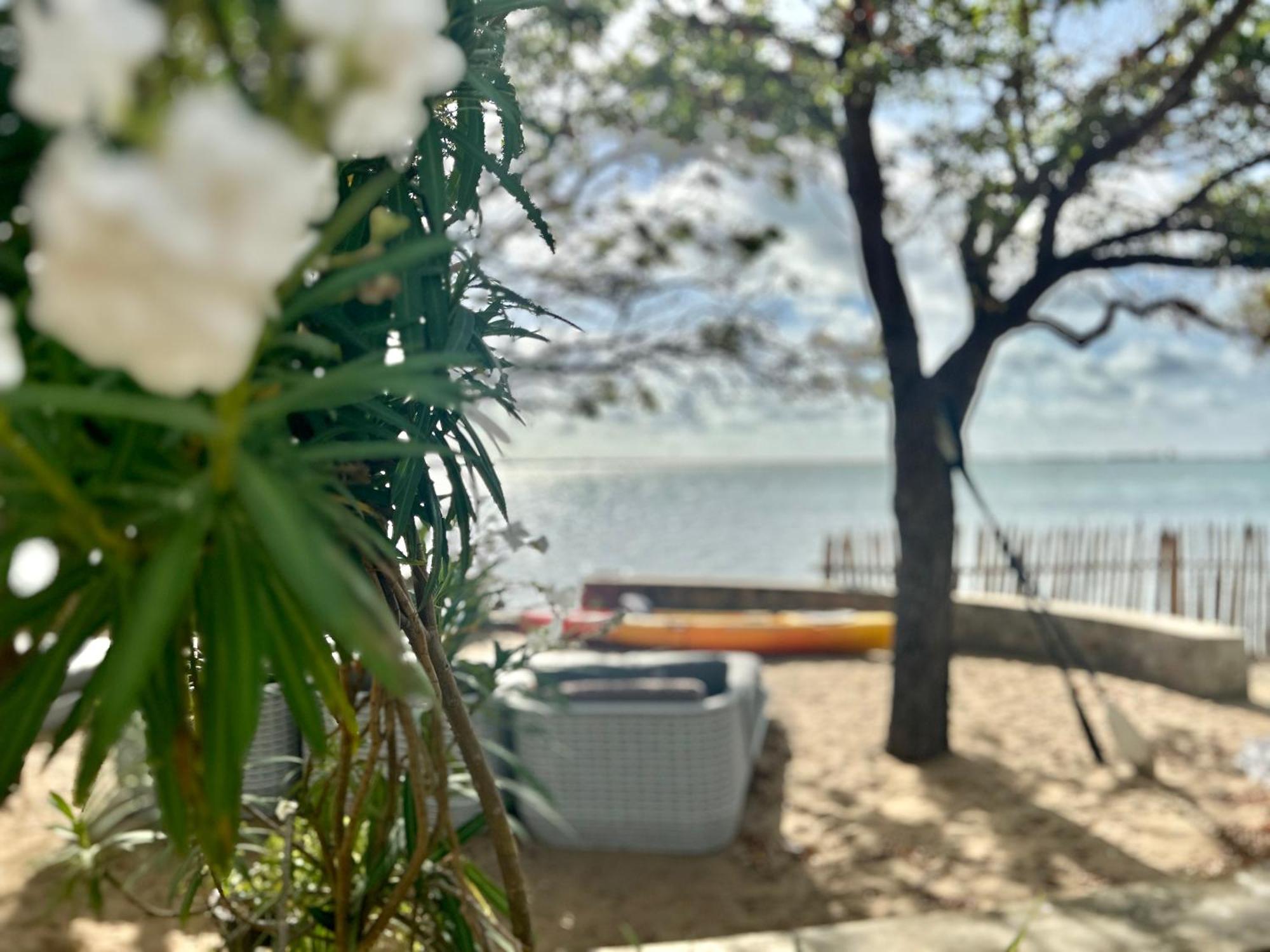 Arasi Resort Kalpitiya Eksteriør billede