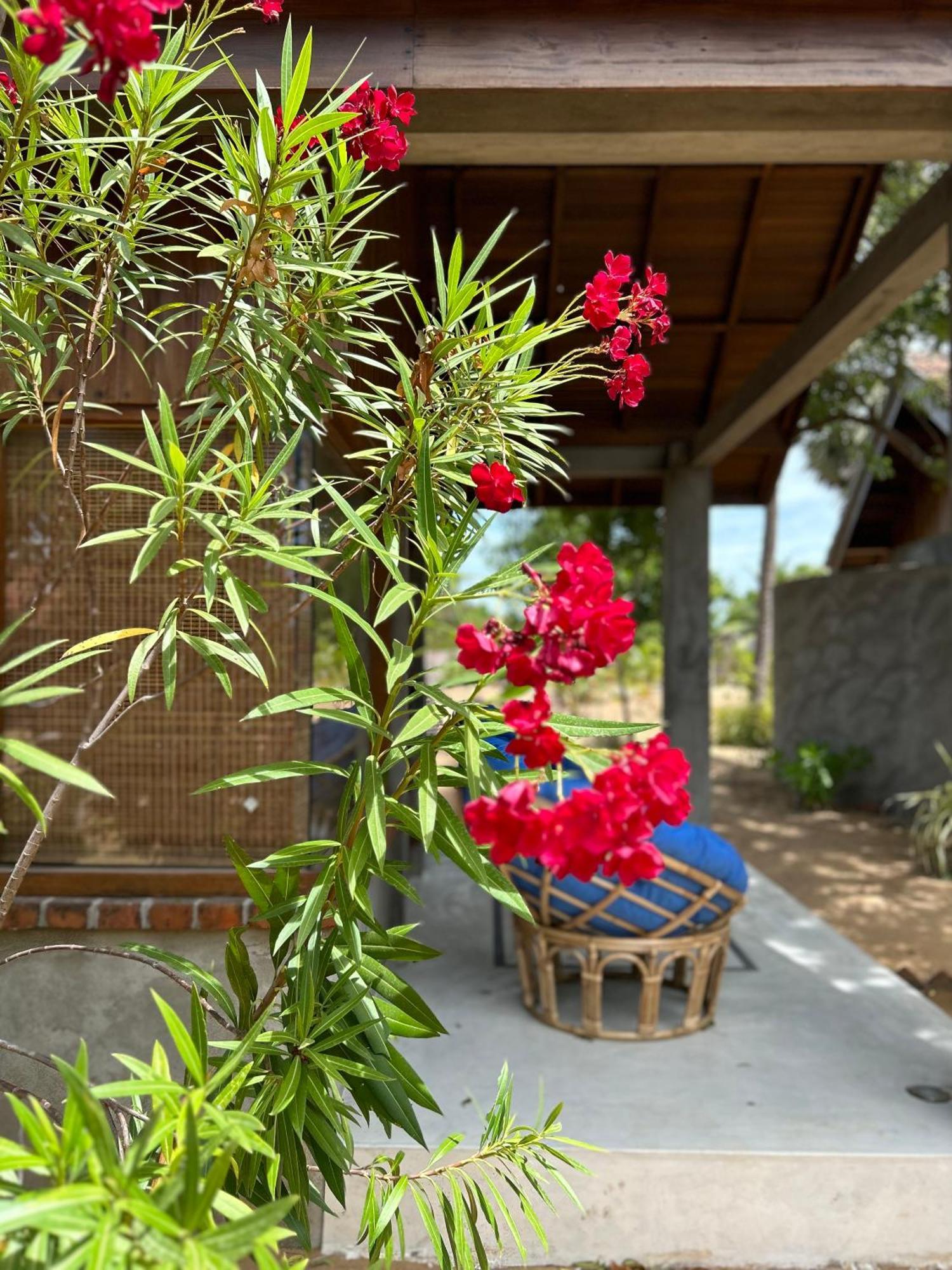 Arasi Resort Kalpitiya Eksteriør billede